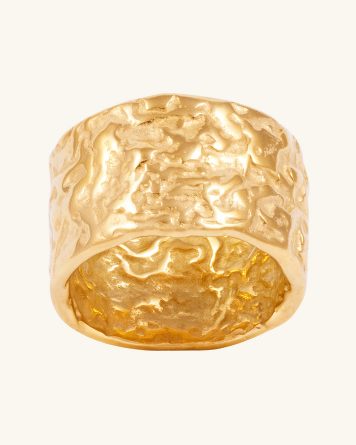 Anillo Aya de Acero Bañado en Oro