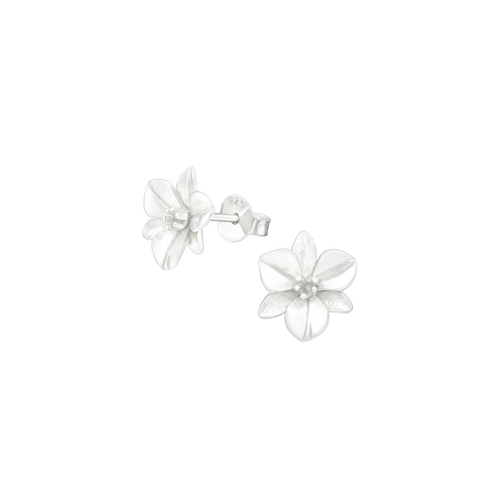 Aros Flor de Plata