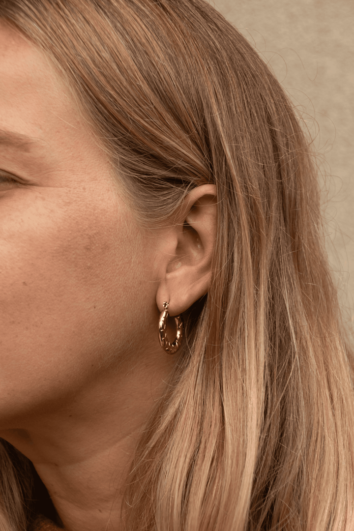 Argollas Pierina de Acero Bañado en Oro